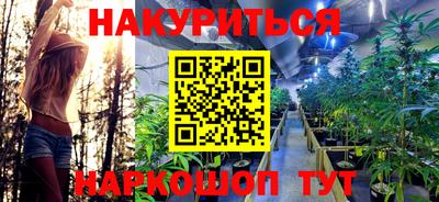 стаф Коломна
