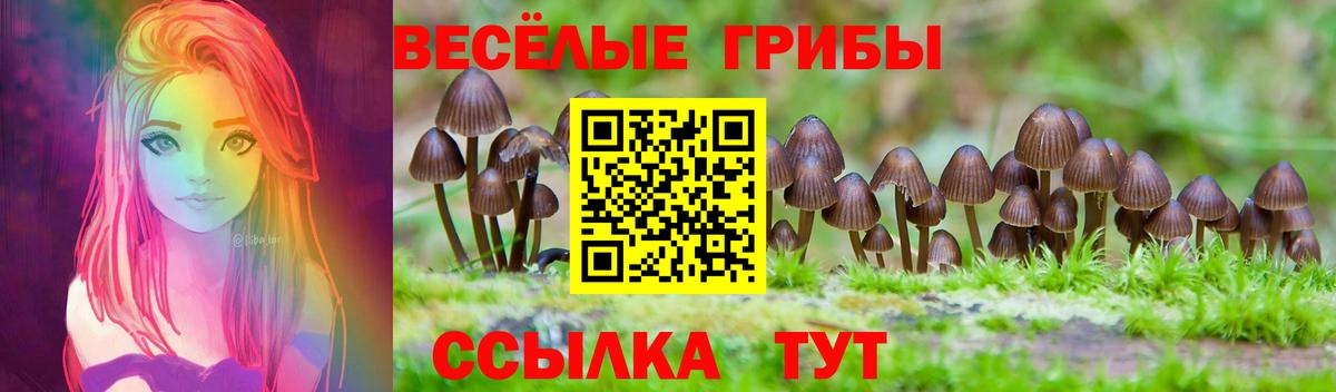 Галлюциногенные грибы GOLDEN TEACHER Нижнеудинск